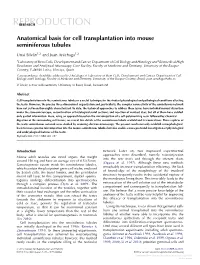 Gender Differences in the Inhibitory Effects of a Reduction in Ambient