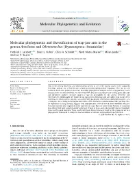 Molecular Phylogenetics and Diversification of Trap-Jaw Ants in the Genera Anochetus and Odontomachus