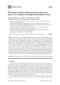 Preparation of Renewable Bio-Polyols from Two Species of Colliguaja for Rigid Polyurethane Foams
