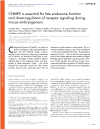 CHMP5 Is Essential for Late Endosome Function and Down-Regulation Of
