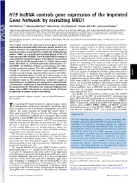 H19 Lncrna Controls Gene Expression of the Imprinted Gene Network by Recruiting MBD1