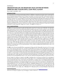 Observations on the Bruin Bay Fault System Between Chinitna and Tuxedni Bays, Cook Inlet, Alaska Paul M