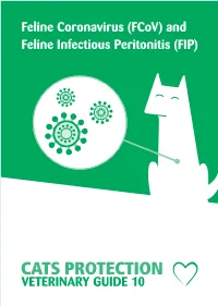And Feline Infectious Peritonitis (FIP)
