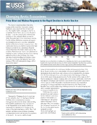 Changing Arctic Ecosystems Polar Bear and Walrus Response to the Rapid Decline in Arctic Sea Ice