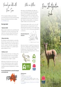 Deer Identification Guide
