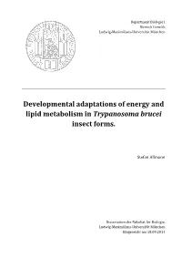 Developmental Adaptations of Energy and Lipid Metabolism in Trypanosoma Brucei Insect Forms