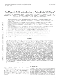 The Magnetic Fields at the Surface of Active Single GK Giants