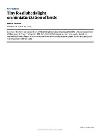 Tiny Fossil Sheds Light on Miniaturization of Birds