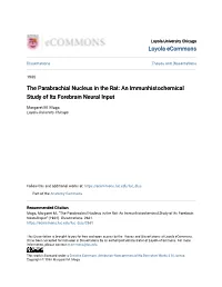 The Parabrachial Nucleus in the Rat: an Immunhistochemical Study of Its Forebrain Neural Input