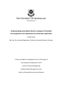 Understanding Extracellular Electron Transport of Industrial Microorganisms and Optimization for Production Application