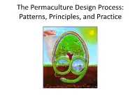 The Permaculture Design Process: Patterns, Principles, and Practice Resource Degradation