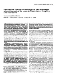 Intersegmental Interneurons Can Control the Gain of Reflexes in Adjacent Segments of the Locust by Their Action on Nonspiking Local Interneurons