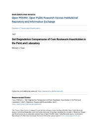 Soil Degradation Comparisons of Corn Rootworm Insecticides in the Field and Laboratory