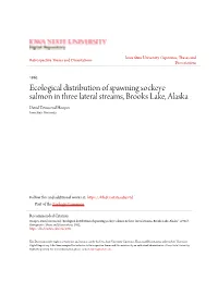 Ecological Distribution of Spawning Sockeye Salmon in Three Lateral Streams, Brooks Lake, Alaska David Townsend Hoopes Iowa State University