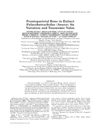 Frontoparietal Bone in Extinct Palaeobatrachidae (Anura): Its Variation and Taxonomic Value