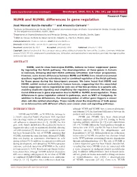NUMB and NUMBL Differences in Gene Regulation