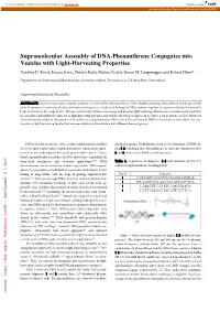 Supramolecular Assembly of DNA-Phenanthrene Conjugates Into Vesicles with Light-Harvesting Properties Caroline D