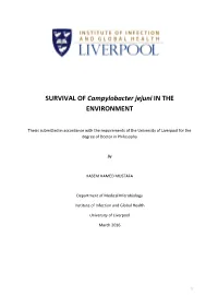 SURVIVAL of Campylobacter Jejuni in the ENVIRONMENT
