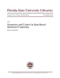 Symmetry and Control in Spin-Based Quantum Computing Dimitrije Stepanenko
