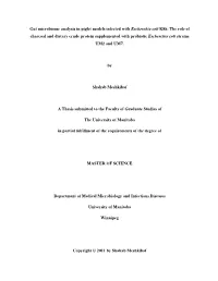 The Role of Charcoal and Dietary Crude Protein Supplemented with Probiotic Escherchia Coli Strains UM2 and UM7