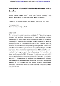 Strategies for Genetic Inactivation of Long Noncoding Rnas in Zebrafish