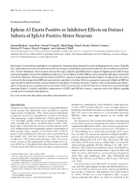 Ephrin-A5 Exerts Positive Or Inhibitory Effects on Distinct Subsets of Epha4-Positive Motor Neurons