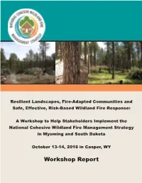 Workshop Report