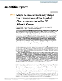 Major Ocean Currents May Shape the Microbiome of the Topshell Phorcus
