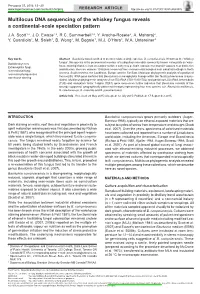 Multilocus Dna Sequencing of the Whiskey Fungus Reveals a Continental-Scale Speciation Pattern