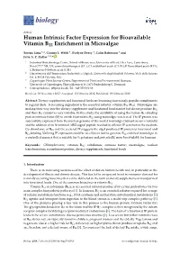 Human Intrinsic Factor Expression for Bioavailable Vitamin B12 Enrichment in Microalgae