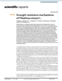 Drought Resistance Mechanisms of Phedimus Aizoon L. Yuhang Liu1, Zhongqun He1*, Yongdong Xie1,2, Lihong Su1, Ruijie Zhang1, Haixia Wang1, Chunyan Li1 & Shengju Long1