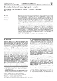 Elucidating the Ramularia Eucalypti Species Complex