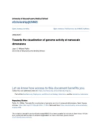 Towards the Visualization of Genome Activity at Nanoscale Dimensions