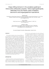 Edge-Drilling Behavior in the Predatory Gastropod Notocochlis Unifasciata