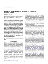 Dendritic Spine Pathology in Epilepsy: Cause Or Consequence?
