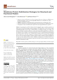 Membrane Protein Stabilization Strategies for Structural and Functional Studies