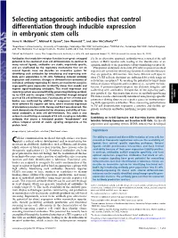 Selecting Antagonistic Antibodies That Control Differentiation Through Inducible Expression in Embryonic Stem Cells