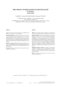 The Origin of Brettanomyces Bruxellensis in Wines: a Review