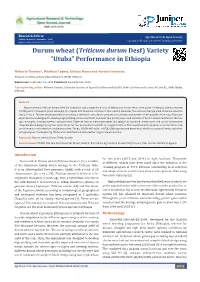 (Triticum Durum Desf) Variety “Utuba” Performance in Ethiopia