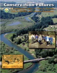 View the Summary Report