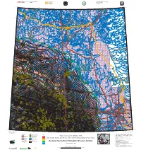 Devonian Souris River Formation: Structure Contour