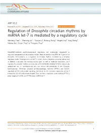 Regulation of Drosophila Circadian Rhythms by Mirna Let-7 Is Mediated by a Regulatory Cycle