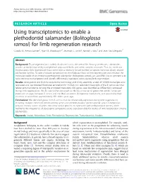 Using Transcriptomics to Enable a Plethodontid Salamander (Bolitoglossa Ramosi) for Limb Regeneration Research Claudia M