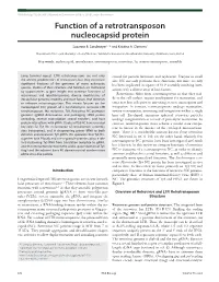 Function of a Retrotransposon Nucleocapsid Protein
