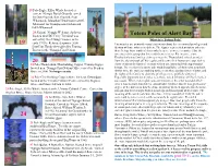 Totem Poles of Alert Bay Carved by Chief Doug Cranmer in the What Is a Totem Pole?