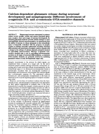 Calcium-Dependent Glutamate Release During Neuronal Development and Synaptogenesis: Different Involvement of &O-Agatoxin IVA- and O-Conotoxin GVIA-Sensitive Channels