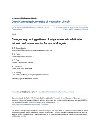 Changes in Grouping Patterns of Saiga Antelope in Relation to Intrinsic and Environmental Factors in Mongolia