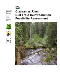 Clackamas River Bull Trout Reintroduction Feasibility Assessment