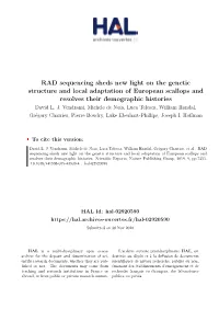 RAD Sequencing Sheds New Light on the Genetic Structure and Local Adaptation of European Scallops and Resolves Their Demographic Histories David L