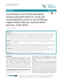 Vocal Behavior of Crested Guineafowl (Guttera Edouardi) Based on Visual
